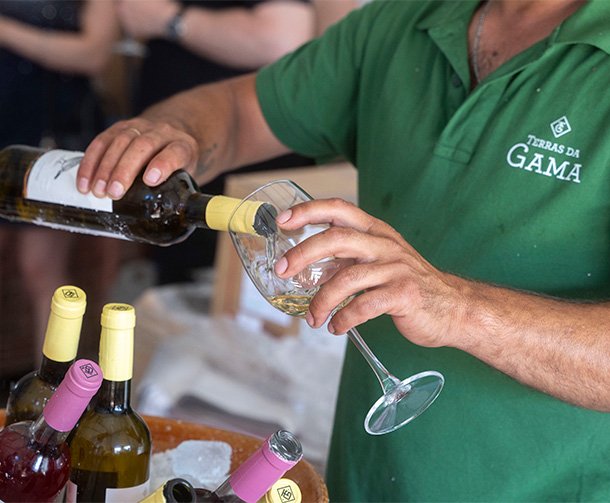 Provas de Vinho e Adega Terras da Gama